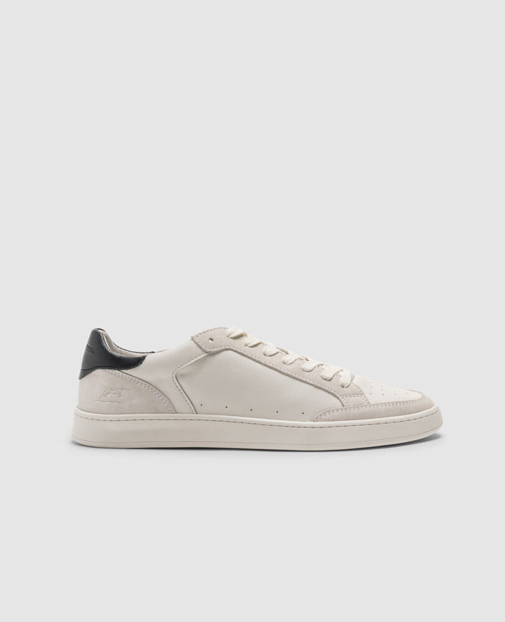 Sussex Street Sneaker