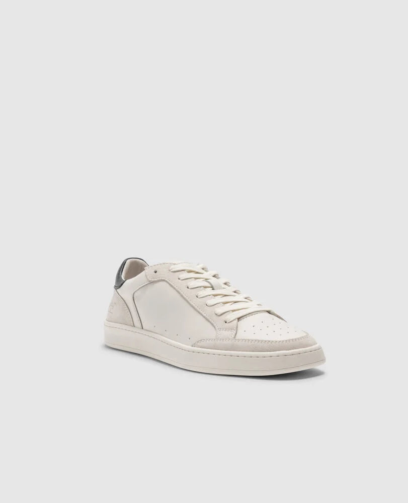 Sussex Street Sneaker